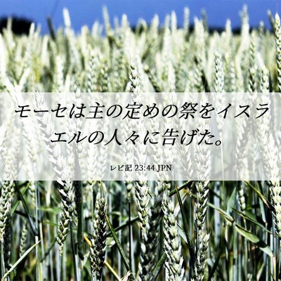 Picture 06 - レビ記 23:44 JPN - モーセは主の定めの祭をイスラエル - Bible Verse Picture