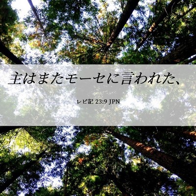 Picture 06 - レビ記 23:9 JPN - 主はまたモーセに言われた、 - Bible Verse Picture