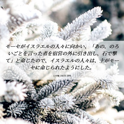 Picture 06 - レビ記 24:23 JPN - モーセがイスラエルの人々に向かい - Bible Verse Picture