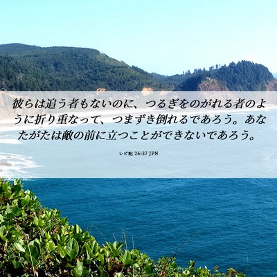 Picture 06 - レビ記 26:37 JPN - 彼らは追う者もないのに、つるぎを - Bible Verse Picture