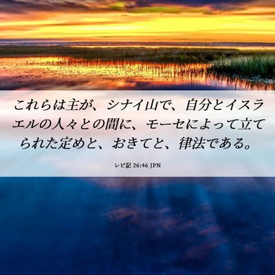 Picture 06 - レビ記 26:46 JPN - これらは主が、シナイ山で、自分と - Bible Verse Picture