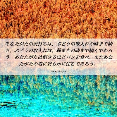 Picture 06 - レビ記 26:5 JPN - あなたがたの麦打ちは、ぶどうの取 - Bible Verse Picture