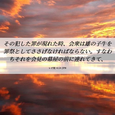 Picture 06 - レビ記 4:14 JPN - その犯した罪が現れた時、会衆は雄 - Bible Verse Picture