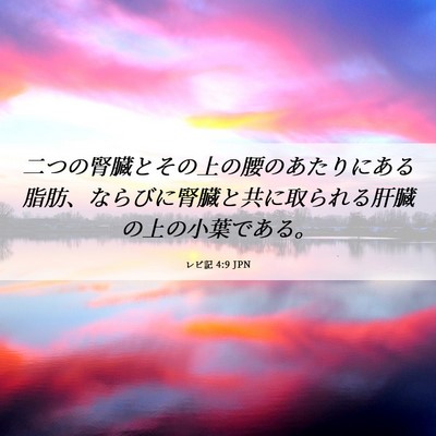 Picture 06 - レビ記 4:9 JPN - 二つの腎臓とその上の腰のあたりに - Bible Verse Picture