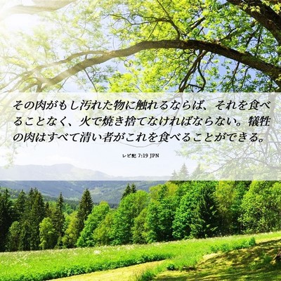 Picture 06 - レビ記 7:19 JPN - その肉がもし汚れた物に触れるなら - Bible Verse Picture
