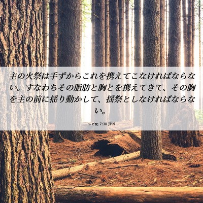 Picture 06 - レビ記 7:30 JPN - 主の火祭は手ずからこれを携えてこ - Bible Verse Picture
