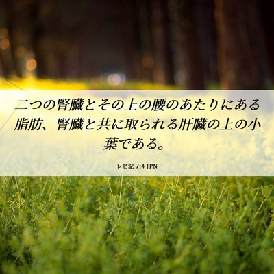 Picture 06 - レビ記 7:4 JPN - 二つの腎臓とその上の腰のあたりに - Bible Verse Picture