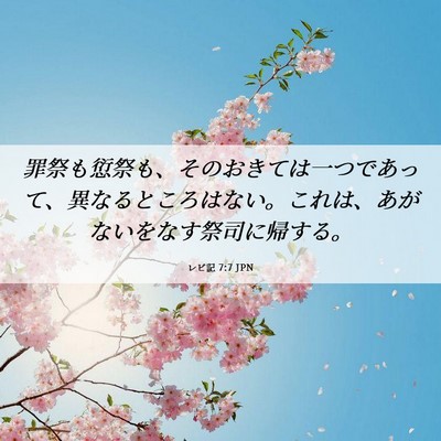 Picture 06 - レビ記 7:7 JPN - 罪祭も愆祭も、そのおきては一つで - Bible Verse Picture