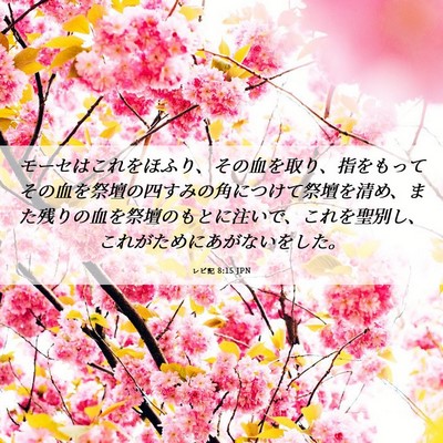 Picture 06 - レビ記 8:15 JPN - モーセはこれをほふり、その血を取 - Bible Verse Picture