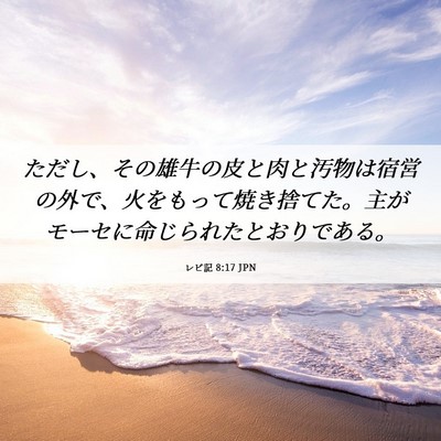 Picture 06 - レビ記 8:17 JPN - ただし、その雄牛の皮と肉と汚物は - Bible Verse Picture