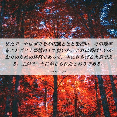 Picture 06 - レビ記 8:21 JPN - またモーセは水でその内臓と足とを - Bible Verse Picture