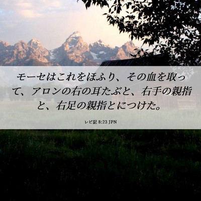 Picture 06 - レビ記 8:23 JPN - モーセはこれをほふり、その血を取 - Bible Verse Picture