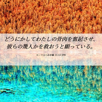 Picture 06 - ローマ人への手紙 11:14 JPN - どうにかしてわたしの骨肉を奮起さ - Bible Verse Picture