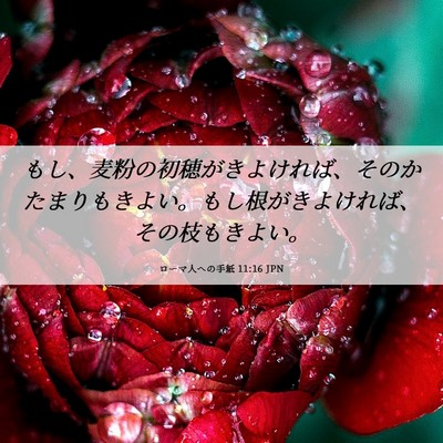 Picture 06 - ローマ人への手紙 11:16 JPN - もし、麦粉の初穂がきよければ、そ - Bible Verse Picture