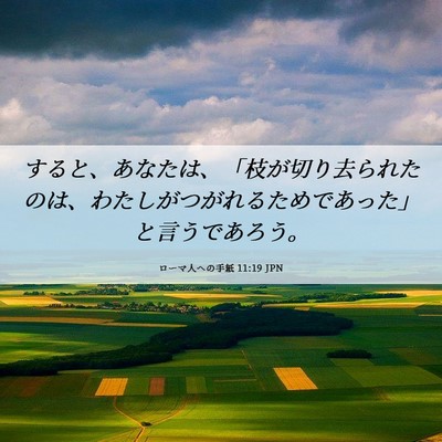 Picture 06 - ローマ人への手紙 11:19 JPN - すると、あなたは、「枝が切り去ら - Bible Verse Picture