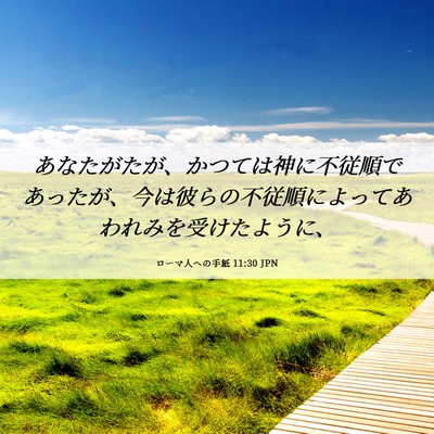 Picture 06 - ローマ人への手紙 11:30 JPN - あなたがたが、かつては神に不従順 - Bible Verse Picture