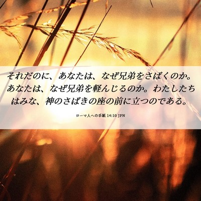 Picture 06 - ローマ人への手紙 14:10 JPN - それだのに、あなたは、なぜ兄弟を - Bible Verse Picture