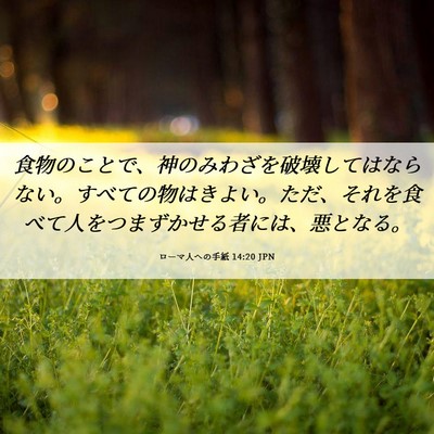Picture 06 - ローマ人への手紙 14:20 JPN - 食物のことで、神のみわざを破壊し - Bible Verse Picture