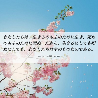 Picture 06 - ローマ人への手紙 14:8 JPN - わたしたちは、生きるのも主のため - Bible Verse Picture