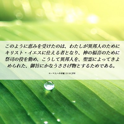 Picture 06 - ローマ人への手紙 15:16 JPN - このように恵みを受けたのは、わた - Bible Verse Picture