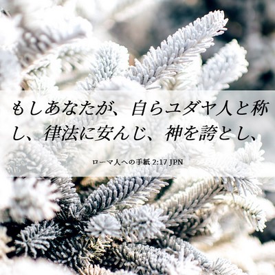 Picture 06 - ローマ人への手紙 2:17 JPN - もしあなたが、自らユダヤ人と称し - Bible Verse Picture