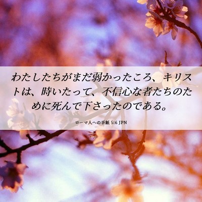 Picture 06 - ローマ人への手紙 5:6 JPN - わたしたちがまだ弱かったころ、キ - Bible Verse Picture