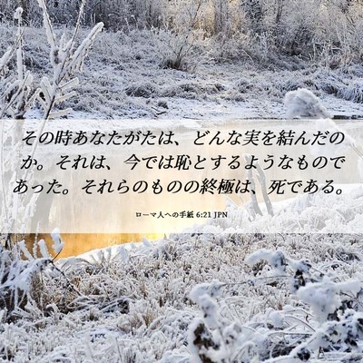 Picture 06 - ローマ人への手紙 6:21 JPN - その時あなたがたは、どんな実を結 - Bible Verse Picture