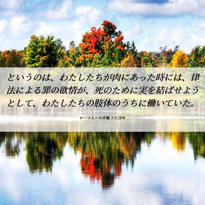 Picture 06 - ローマ人への手紙 7:5 JPN - というのは、わたしたちが肉にあっ - Bible Verse Picture