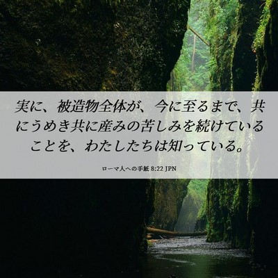 Picture 06 - ローマ人への手紙 8:22 JPN - 実に、被造物全体が、今に至るまで - Bible Verse Picture