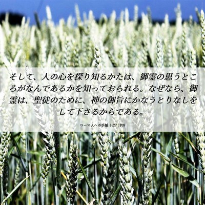 Picture 06 - ローマ人への手紙 8:27 JPN - そして、人の心を探り知るかたは、 - Bible Verse Picture