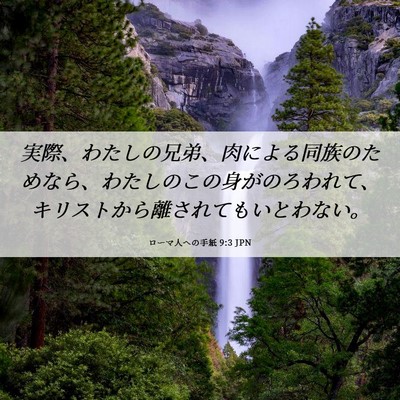 Picture 06 - ローマ人への手紙 9:3 JPN - 実際、わたしの兄弟、肉による同族 - Bible Verse Picture