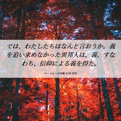 Picture 06 - ローマ人への手紙 9:30 JPN - では、わたしたちはなんと言おうか - Bible Verse Picture