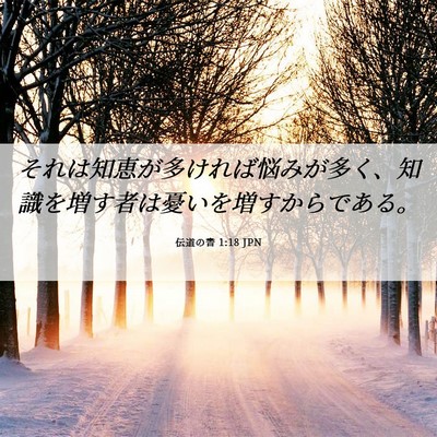 Picture 06 - 伝道の書 1:18 JPN - それは知恵が多ければ悩みが多く、 - Bible Verse Picture