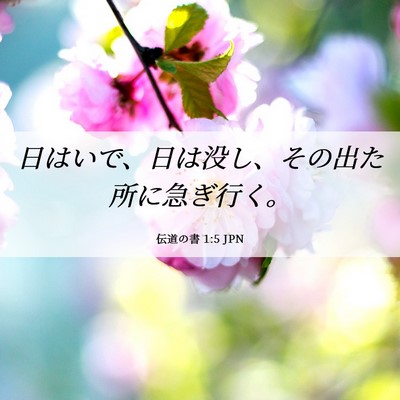Picture 06 - 伝道の書 1:5 JPN - 日はいで、日は没し、その出た所に - Bible Verse Picture