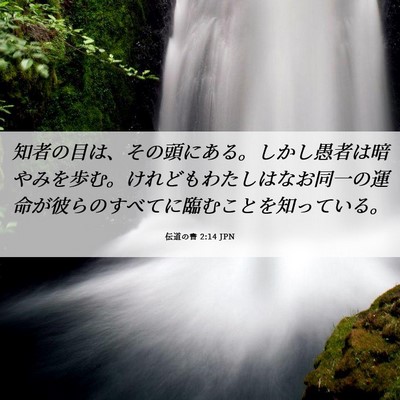 Picture 06 - 伝道の書 2:14 JPN - 知者の目は、その頭にある。しかし - Bible Verse Picture