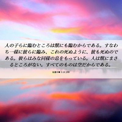 Picture 06 - 伝道の書 3:19 JPN - 人の子らに臨むところは獣にも臨む - Bible Verse Picture