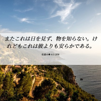 Picture 06 - 伝道の書 6:5 JPN - またこれは日を見ず、物を知らない - Bible Verse Picture