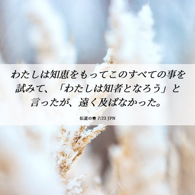 Picture 06 - 伝道の書 7:23 JPN - わたしは知恵をもってこのすべての - Bible Verse Picture