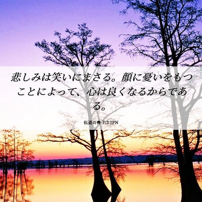 Picture 06 - 伝道の書 7:3 JPN - 悲しみは笑いにまさる。顔に憂いを - Bible Verse Picture
