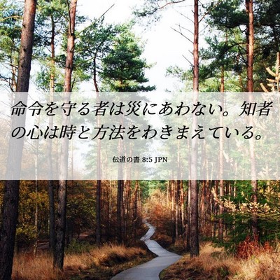 Picture 06 - 伝道の書 8:5 JPN - 命令を守る者は災にあわない。知者 - Bible Verse Picture