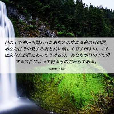 Picture 06 - 伝道の書 9:9 JPN - 日の下で神から賜わったあなたの空 - Bible Verse Picture
