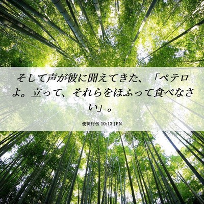 Picture 06 - 使徒行伝 10:13 JPN - そして声が彼に聞えてきた、「ペテ - Bible Verse Picture