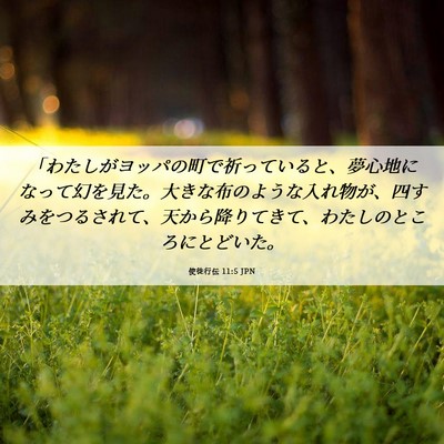 Picture 06 - 使徒行伝 11:5 JPN - 「わたしがヨッパの町で祈っている - Bible Verse Picture