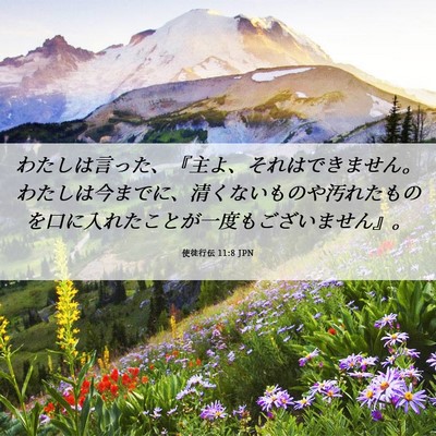 Picture 06 - 使徒行伝 11:8 JPN - わたしは言った、『主よ、それはで - Bible Verse Picture