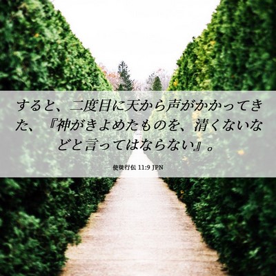 Picture 06 - 使徒行伝 11:9 JPN - すると、二度目に天から声がかかっ - Bible Verse Picture