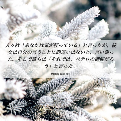 Picture 06 - 使徒行伝 12:15 JPN - 人々は「あなたは気が狂っている」 - Bible Verse Picture