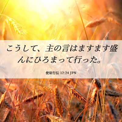 Picture 06 - 使徒行伝 12:24 JPN - こうして、主の言はますます盛んに - Bible Verse Picture