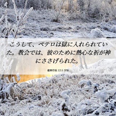 Picture 06 - 使徒行伝 12:5 JPN - こうして、ペテロは獄に入れられて - Bible Verse Picture