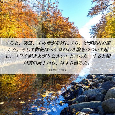 Picture 06 - 使徒行伝 12:7 JPN - すると、突然、主の使がそばに立ち - Bible Verse Picture