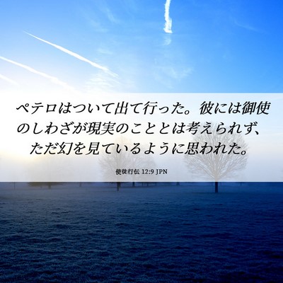 Picture 06 - 使徒行伝 12:9 JPN - ペテロはついて出て行った。彼には - Bible Verse Picture